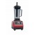 Блендер EWT INOX CBS10/CMES